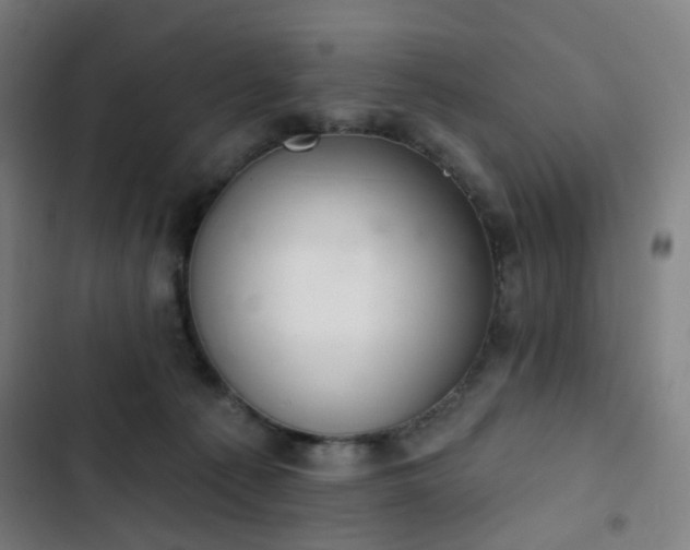 X0000103280225200809051538