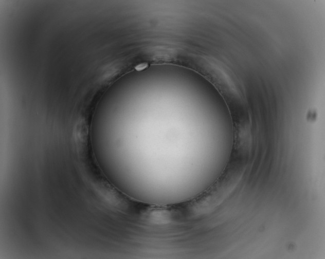 X0000103280228200809051538