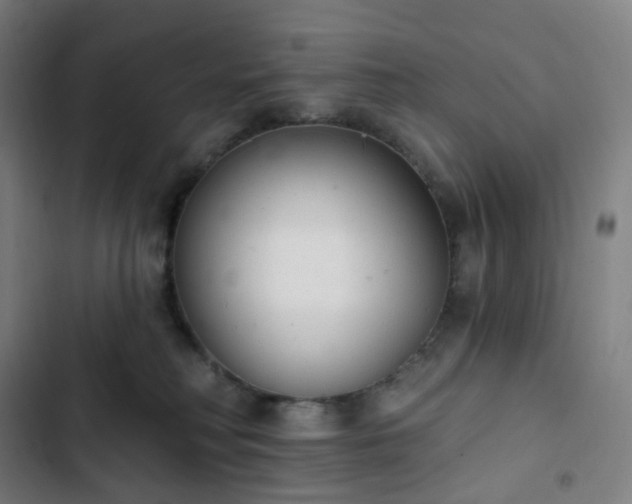 X0000103280230200809051538