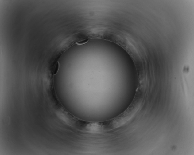 X0000103280231200809051538