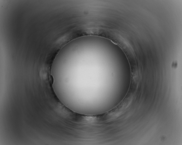 X0000103280233200809051538