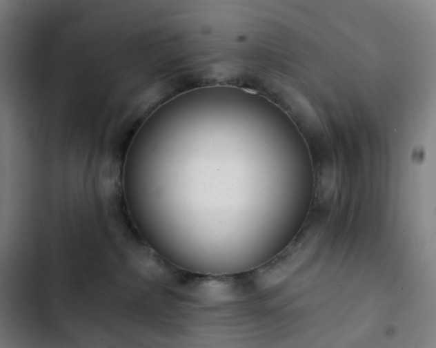 X0000103280236200809051538