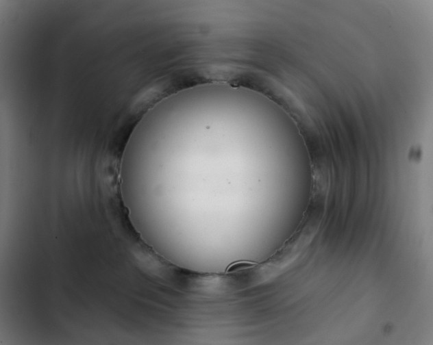 X0000103280237200809051538