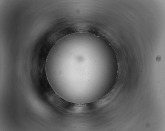 X0000103280240200809051538