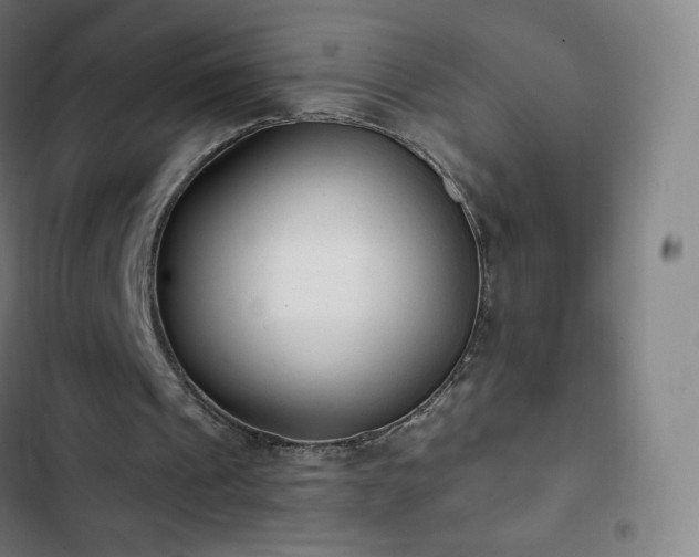 X0000103280241200809051537