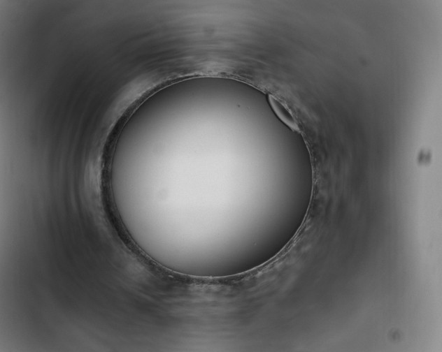 X0000103280242200809051537