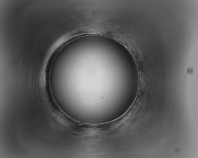 X0000103280246200809051537