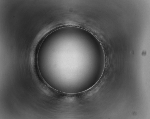 X0000103280247200809051537