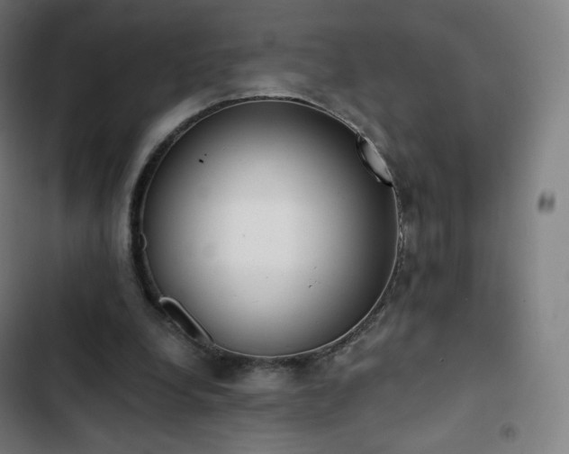 X0000103280248200809051537