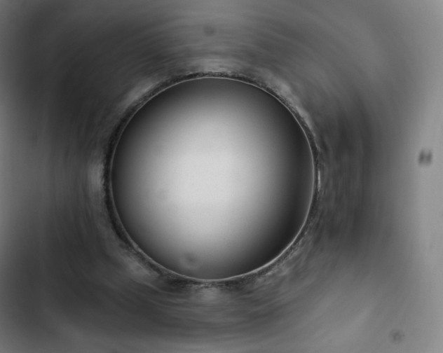 X0000103280249200809051537