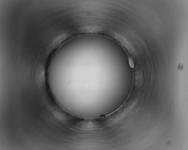 X0000103280254200809051537