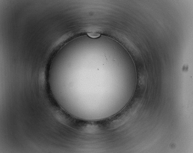 X0000103280256200809051537