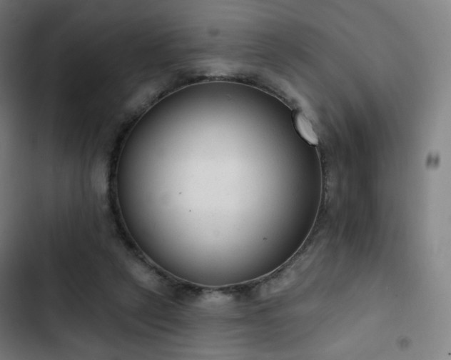 X0000103280257200809051537