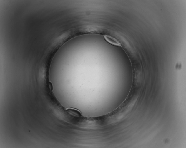 X0000103280260200809051537