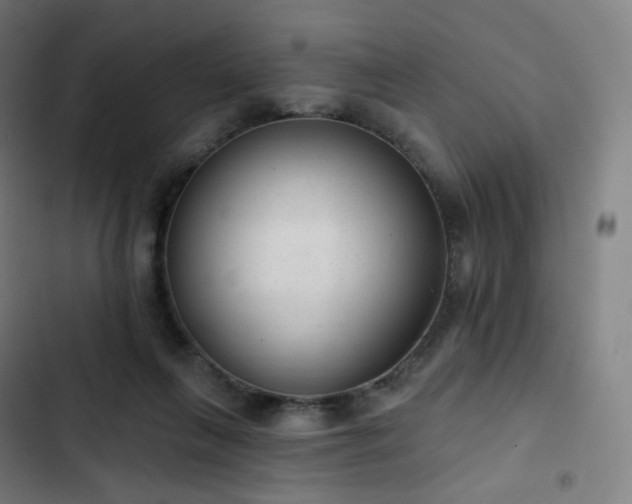 X0000103280263200809051537