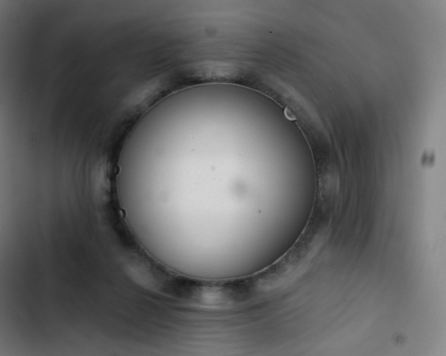 X0000103280264200809051537