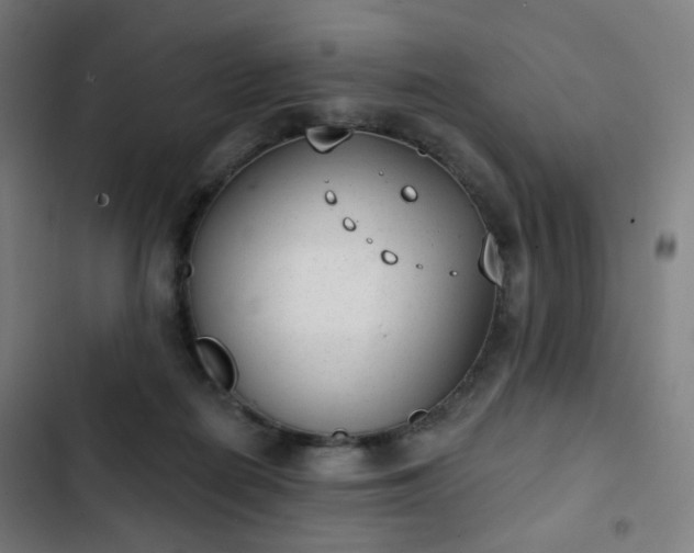 X0000103280266200809051537