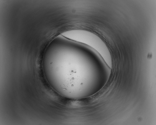 X0000103280268200809051537