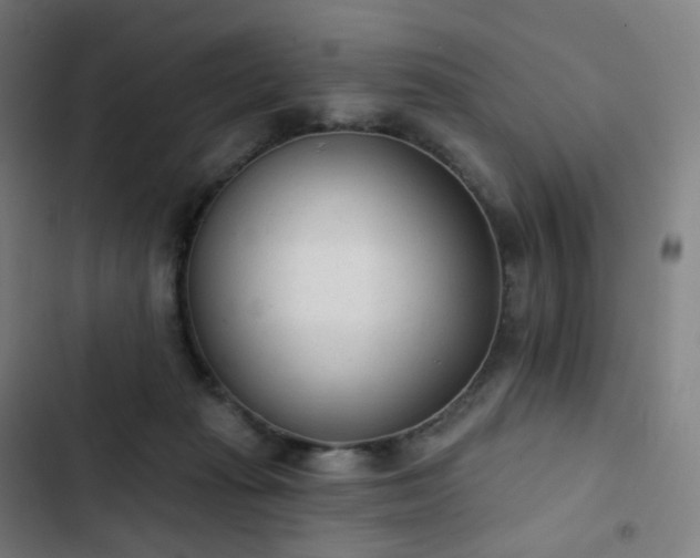 X0000103280269200809051537