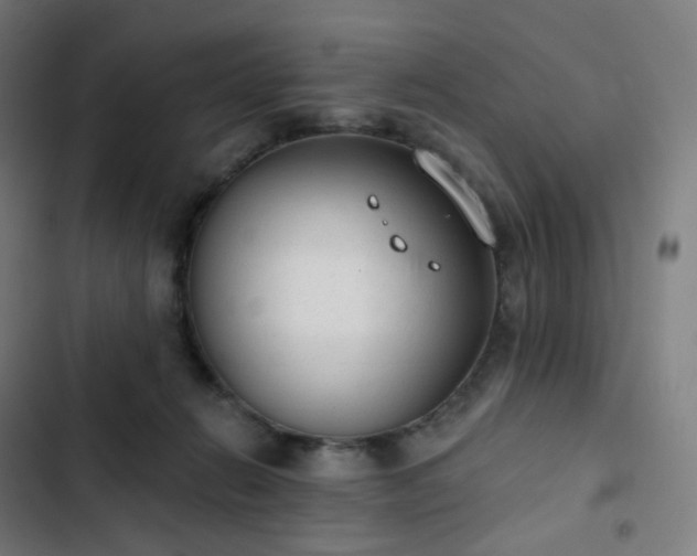 X0000103280270200809051537