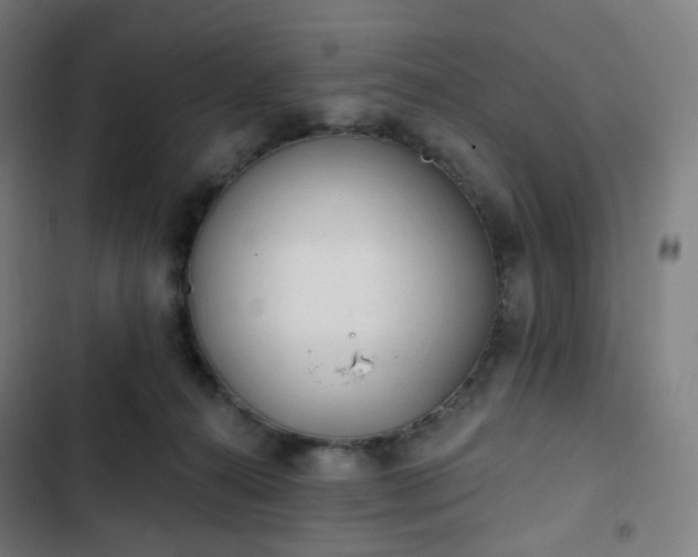 X0000103280272200809051537