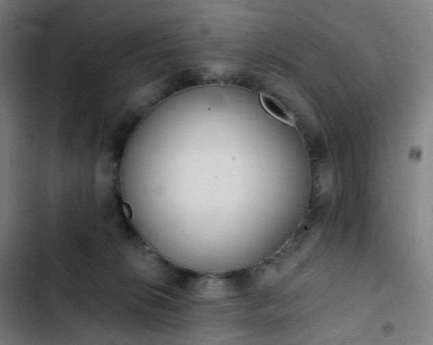 X0000103280276200809051537