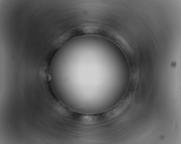 X0000103280277200809051537