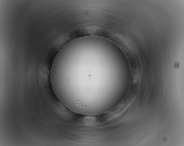 X0000103280279200809051537