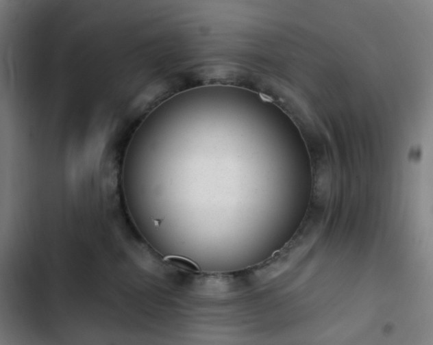 X0000103280282200809051538