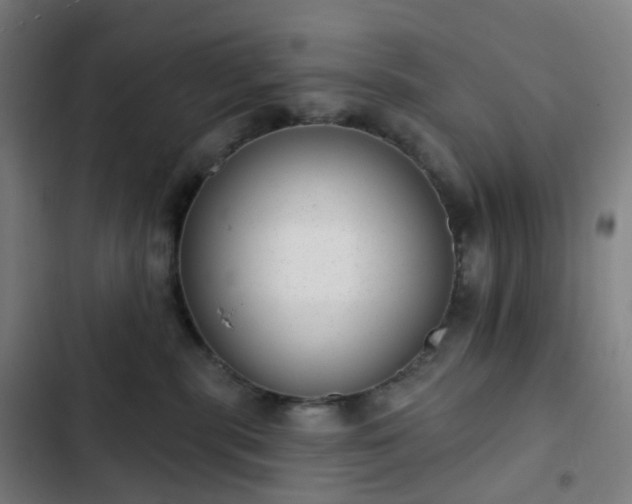 X0000103280283200809051538