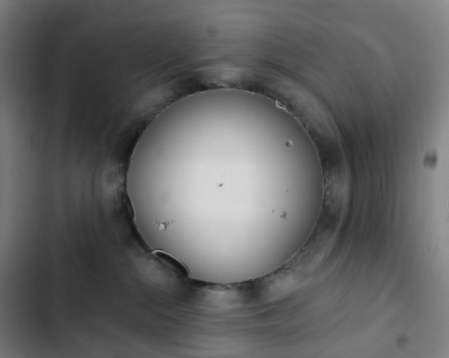 X0000103280284200809051538