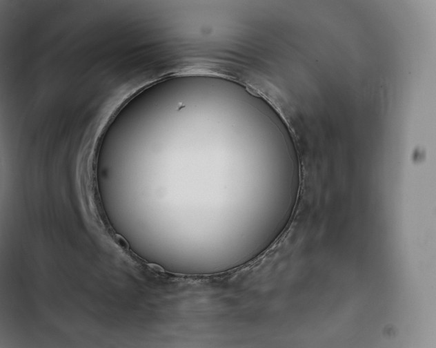 X0000103280289200809051537