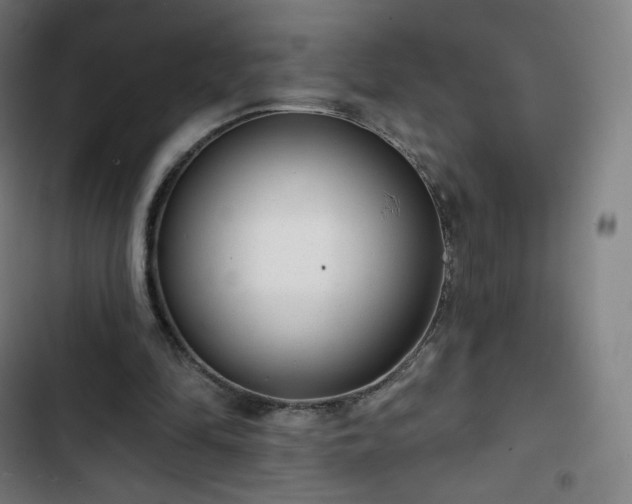 X0000103280294200809051537