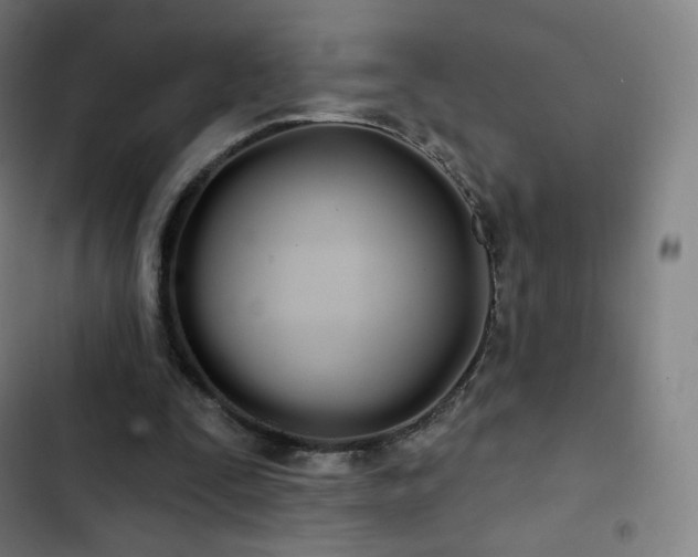 X0000103280295200809051537