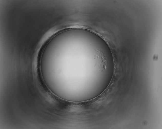 X0000103280296200809051537