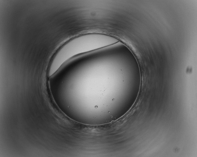 X0000103280297200809051537