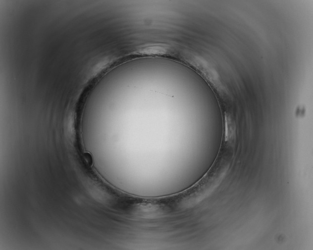 X0000103280300200809051537