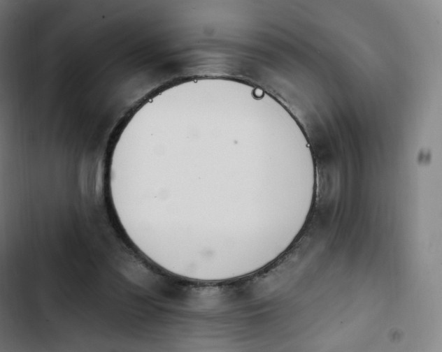 X0000103280301200809051537