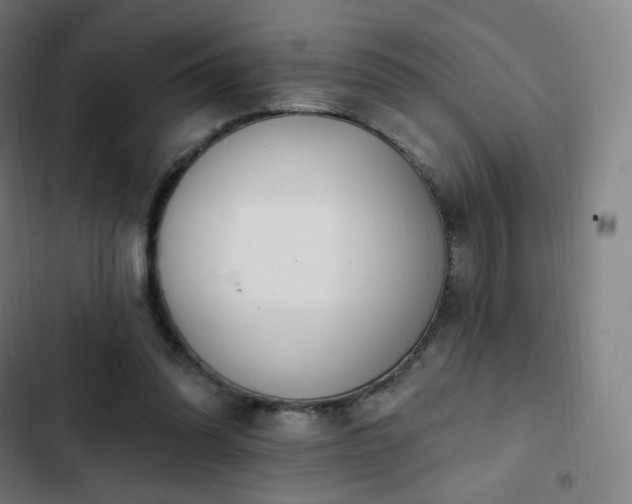 X0000103280302200809051537