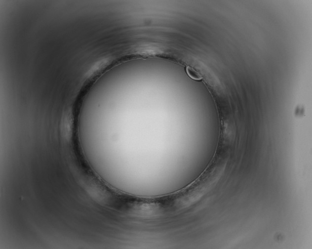 X0000103280304200809051537