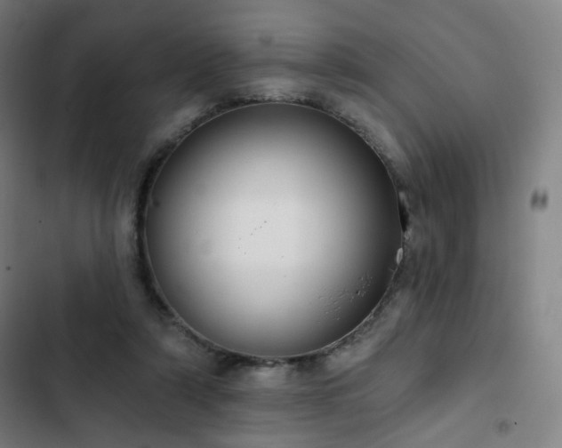 X0000103280306200809051537