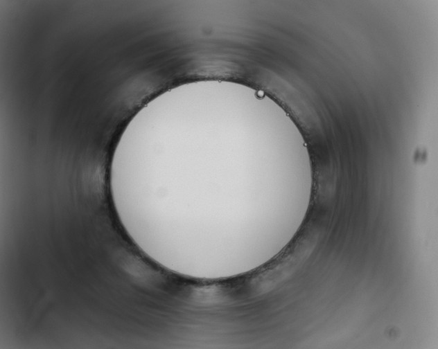 X0000103280309200809051537