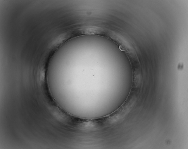 X0000103280310200809051537