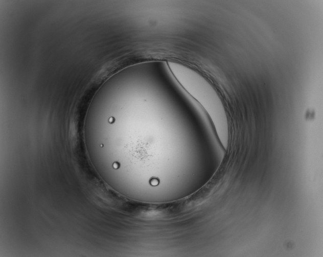 X0000103280312200809051537