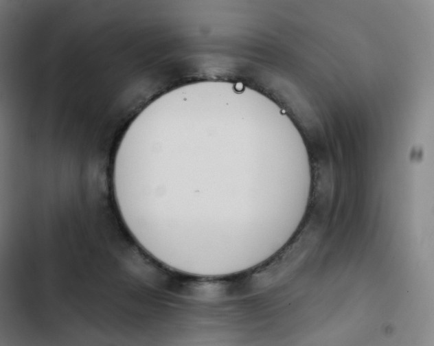 X0000103280313200809051537