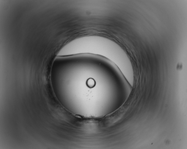 X0000103280316200809051537