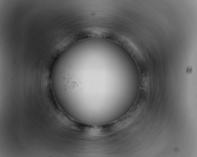 X0000103280318200809051537