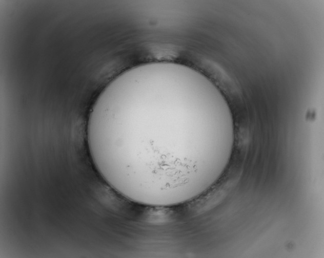 X0000103280321200809051536