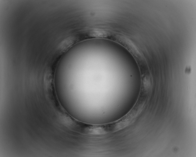 X0000103280322200809051536