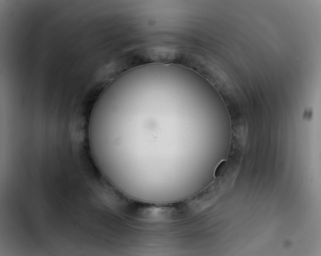 X0000103280323200809051536